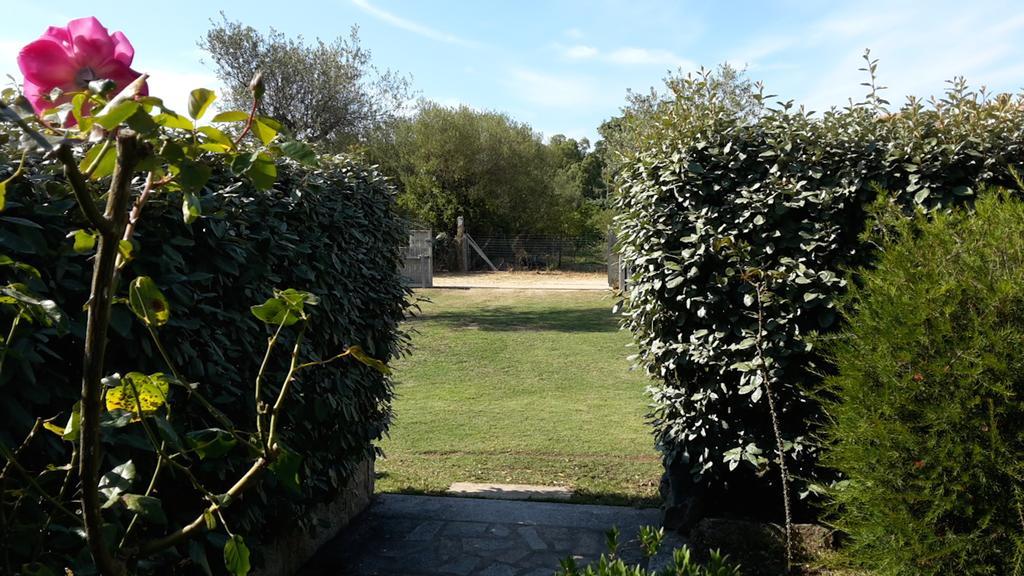 Sole&Luna San Teodoro  Exterior foto